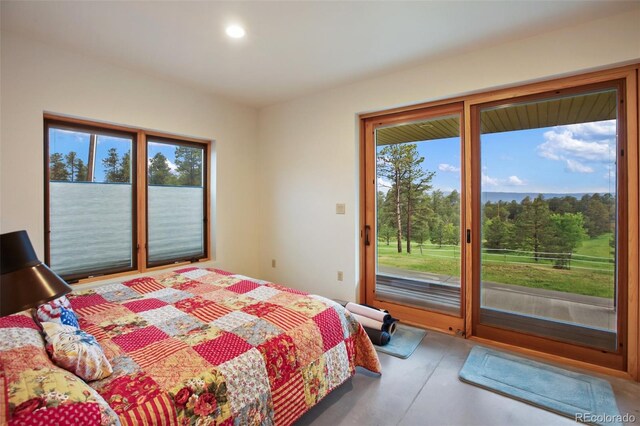 14495 Holmes Rd, Colorado Springs, CO 80908 - photo 16