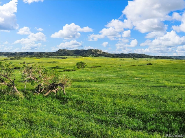 22 County Road 53, Elbert, CO 80106 - photo 3