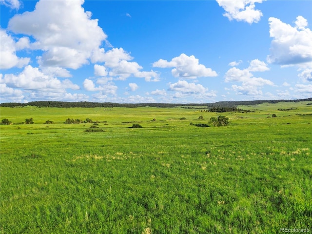 22 County Road 53, Elbert, CO 80106 - photo 13