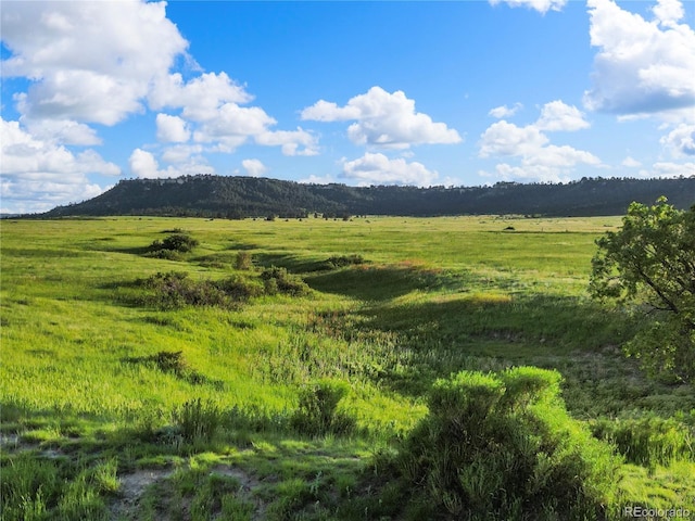 22 County Road 53, Elbert, CO 80106 - photo 16