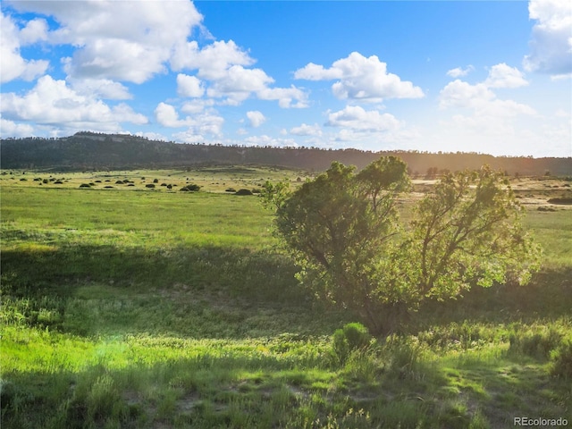 22 County Road 53, Elbert, CO 80106 - photo 17