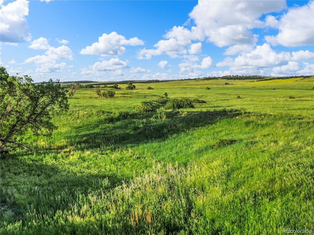 22 County Road 53, Elbert, CO 80106 - photo 20