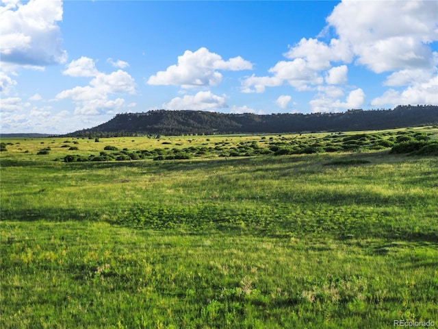 22 County Road 53, Elbert, CO 80106 - photo 27