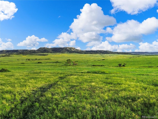 22 County Road 53, Elbert, CO 80106 - photo 38