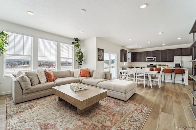 living room featuring light hardwood / wood-style flooring