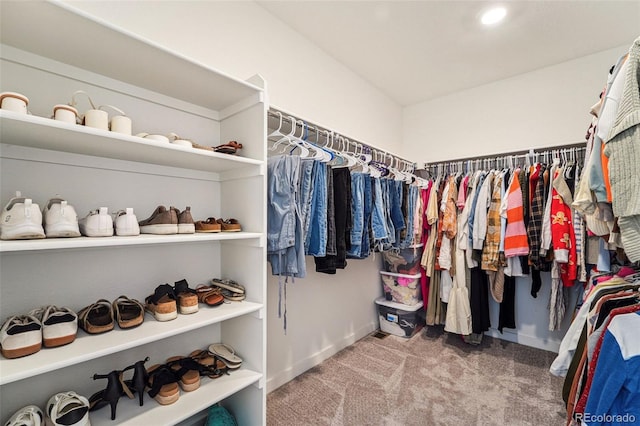 spacious closet featuring carpet flooring