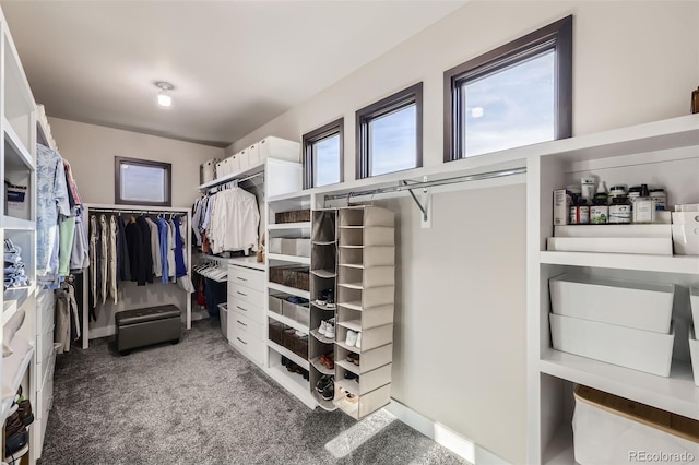 walk in closet with carpet