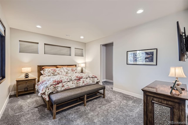 11364 Birolli Pl, Littleton, CO 80125 - photo 30