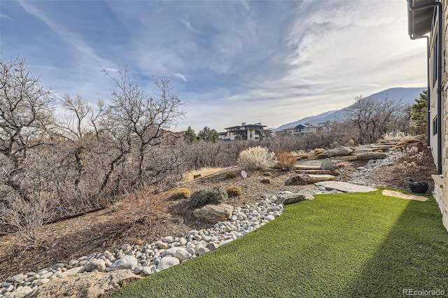 view of yard with a mountain view