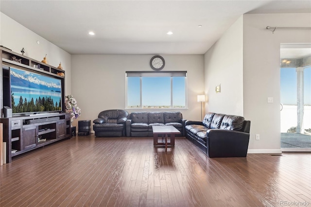 living room with dark hardwood / wood-style flooring