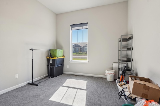 miscellaneous room with light colored carpet