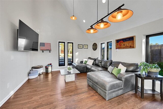 living room featuring high vaulted ceiling and dark wood-type flooring