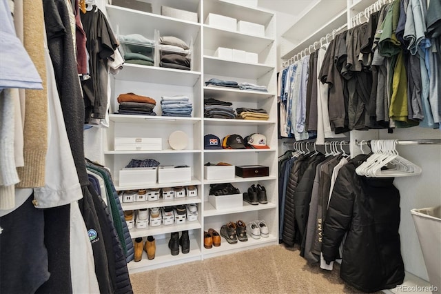 1702 W 66th Ave, Denver, CO 80221 - view of spacious closet