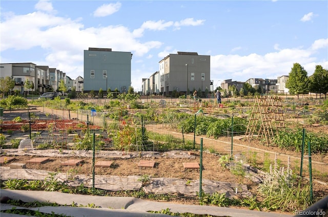 1702 W 66th Ave, Denver, CO 80221 - view of yard with a vegetable garden and a residential view