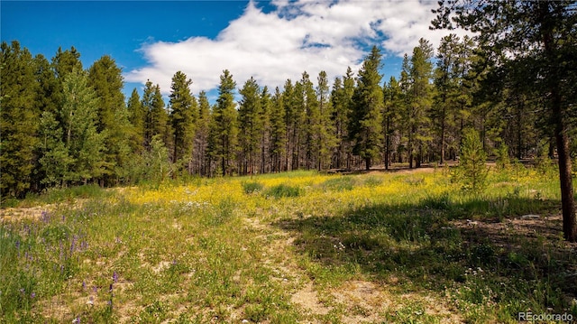 609 Mountain View Dr, Leadville CO, 80461 land for sale