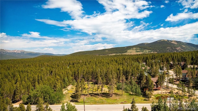 Listing photo 3 for 609 Mountain View Dr, Leadville CO 80461