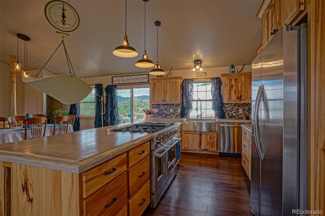 kitchen with stainless steel appliances, dark hardwood / wood-style flooring, tasteful backsplash, and a wealth of natural light