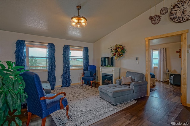 living room with vaulted ceiling and hardwood / wood-style floors