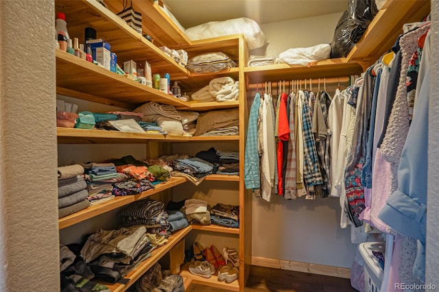 view of walk in closet