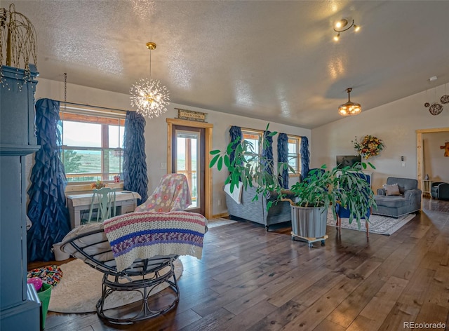 interior space with hardwood / wood-style flooring, a textured ceiling, lofted ceiling, and plenty of natural light