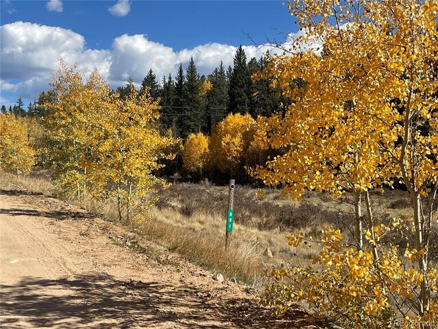 581 Longbow Dr, Como, CO 80432