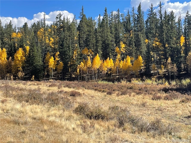 581 Longbow Dr, Como, CO 80432
