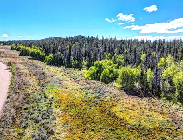 581 Longbow Dr, Como, CO 80432
