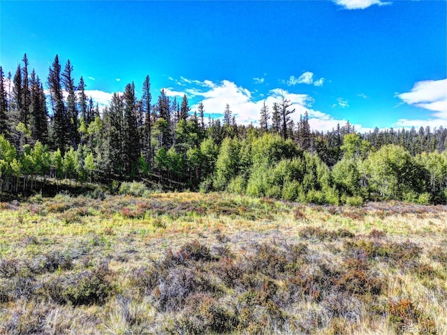581 Longbow Dr, Como, CO 80432