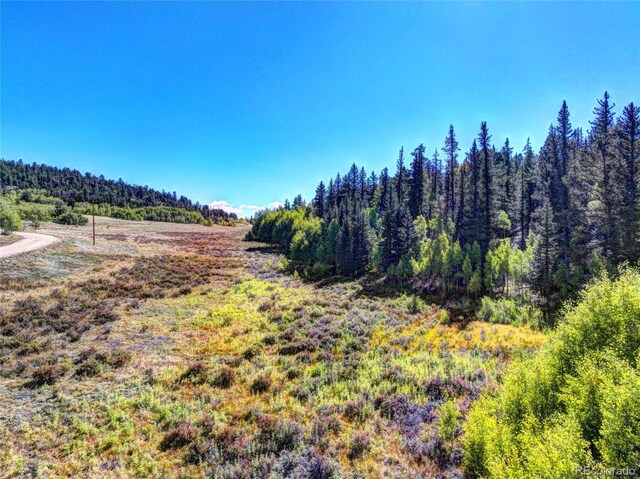 581 Longbow Dr, Como, CO 80432