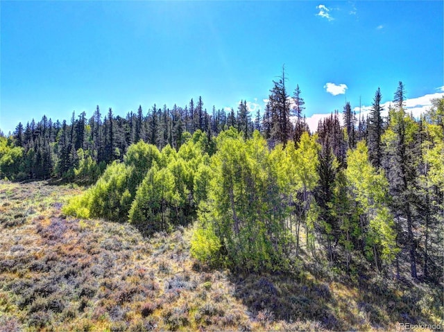 581 Longbow Dr, Como, CO 80432