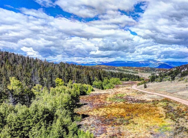 581 Longbow Dr, Como, CO 80432