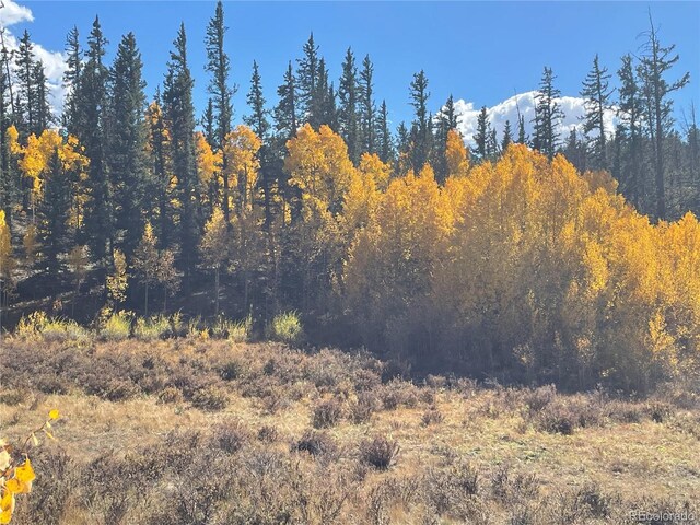 581 Longbow Dr, Como, CO 80432