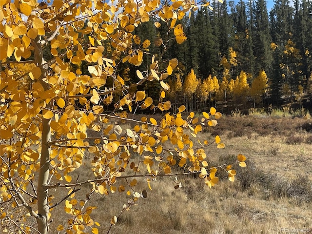 581 Longbow Dr, Como, CO 80432