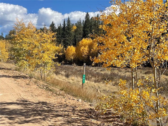 581 Longbow Dr, Como, CO 80432