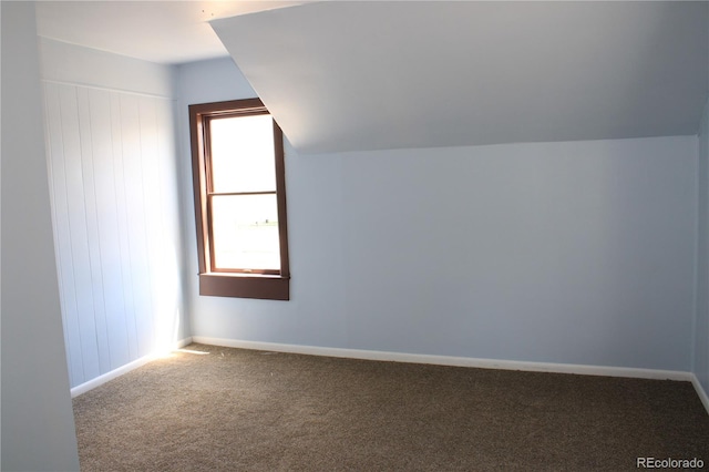 additional living space featuring carpet flooring