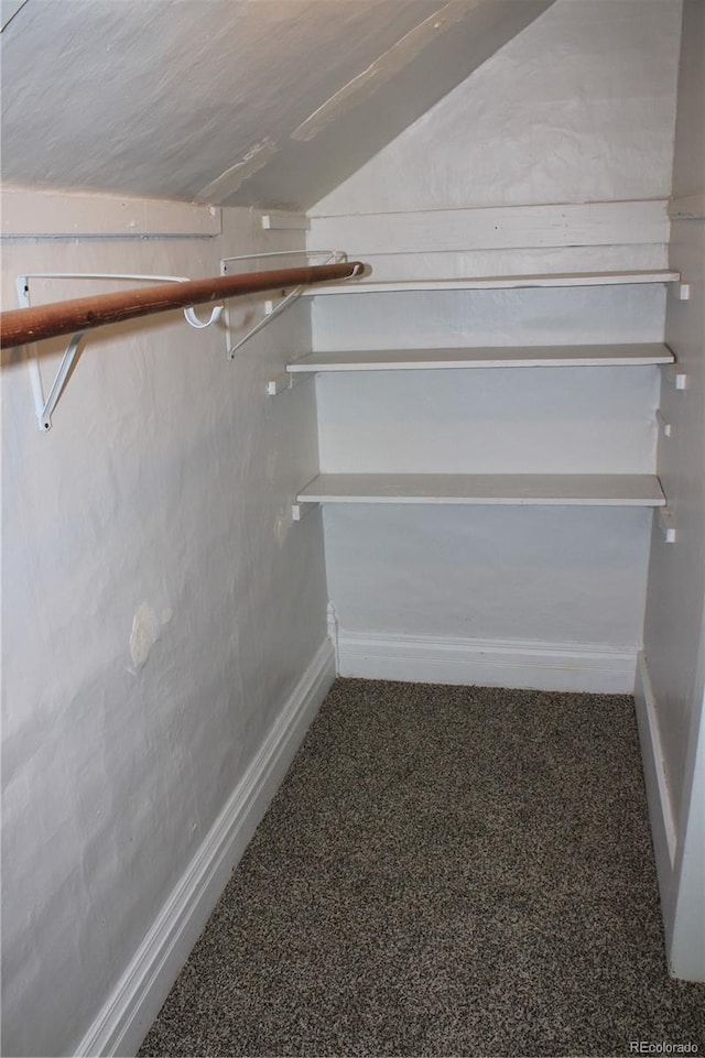 walk in closet featuring carpet flooring