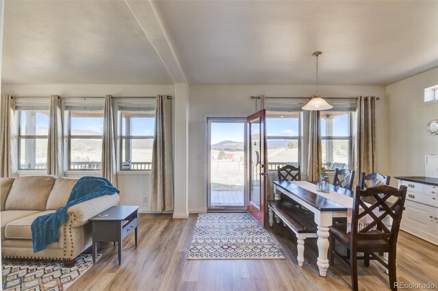 526 Wagon Wheel Rd, Hartsel, CO 80449 - dining area featuring light wood-style flooring and baseboards