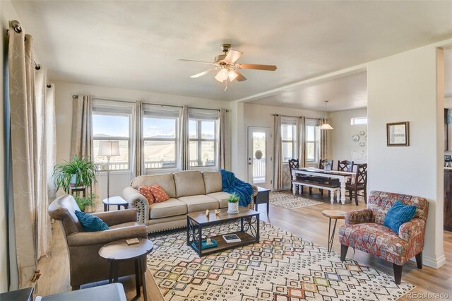 526 Wagon Wheel Rd, Hartsel, CO 80449 - living room featuring ceiling fan and wood finished floors