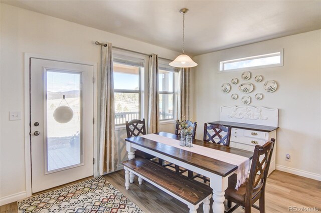 526 Wagon Wheel Rd, Hartsel, CO 80449 - dining room featuring light wood-style flooring and baseboards