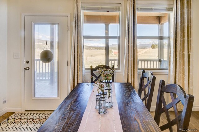 526 Wagon Wheel Rd, Hartsel, CO 80449 - dining area featuring baseboards and wood finished floors
