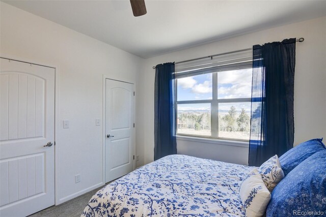 526 Wagon Wheel Rd, Hartsel, CO 80449 - bedroom with carpet flooring, baseboards, and a ceiling fan