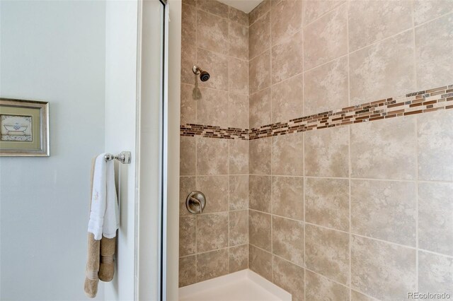 526 Wagon Wheel Rd, Hartsel, CO 80449 - bathroom with a shower stall