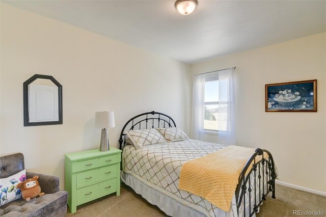 526 Wagon Wheel Rd, Hartsel, CO 80449 - bedroom featuring carpet floors and baseboards