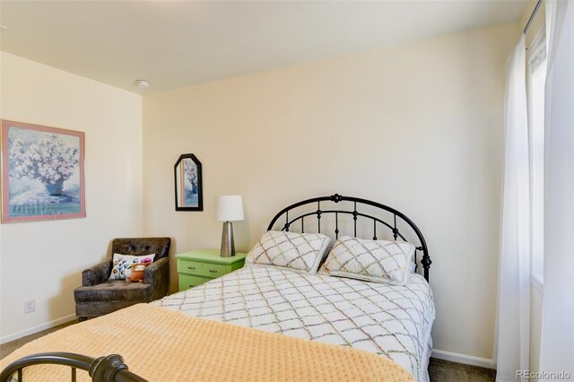 526 Wagon Wheel Rd, Hartsel, CO 80449 - bedroom with baseboards and carpet floors