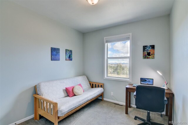 526 Wagon Wheel Rd, Hartsel, CO 80449 - office space with carpet flooring and baseboards