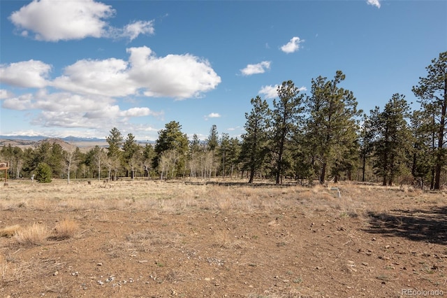 526 Wagon Wheel Rd, Hartsel, CO 80449