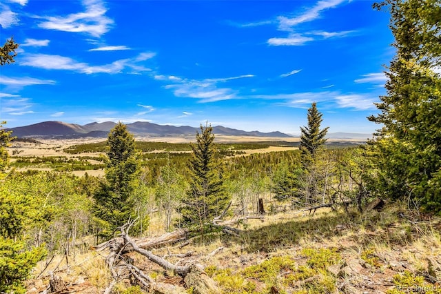 16 Red Cloud Dr, Como, CO 80432 - photo 12
