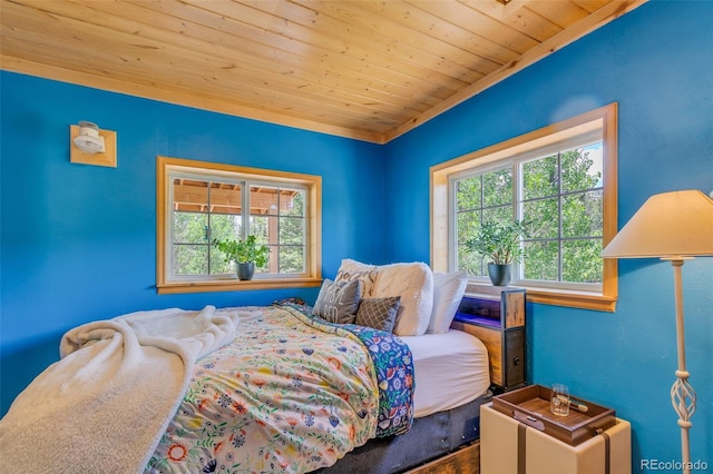 16 Red Cloud Dr, Como, CO 80432 - photo 13