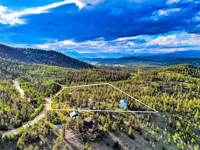 16 Red Cloud Dr, Como, CO 80432 - photo 42