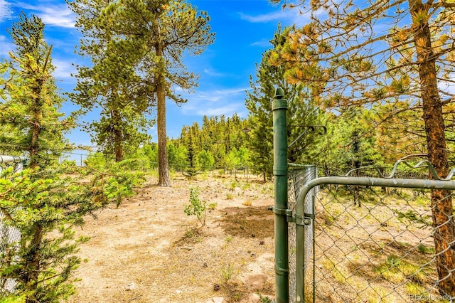 16 Red Cloud Dr, Como, CO 80432 - photo 47